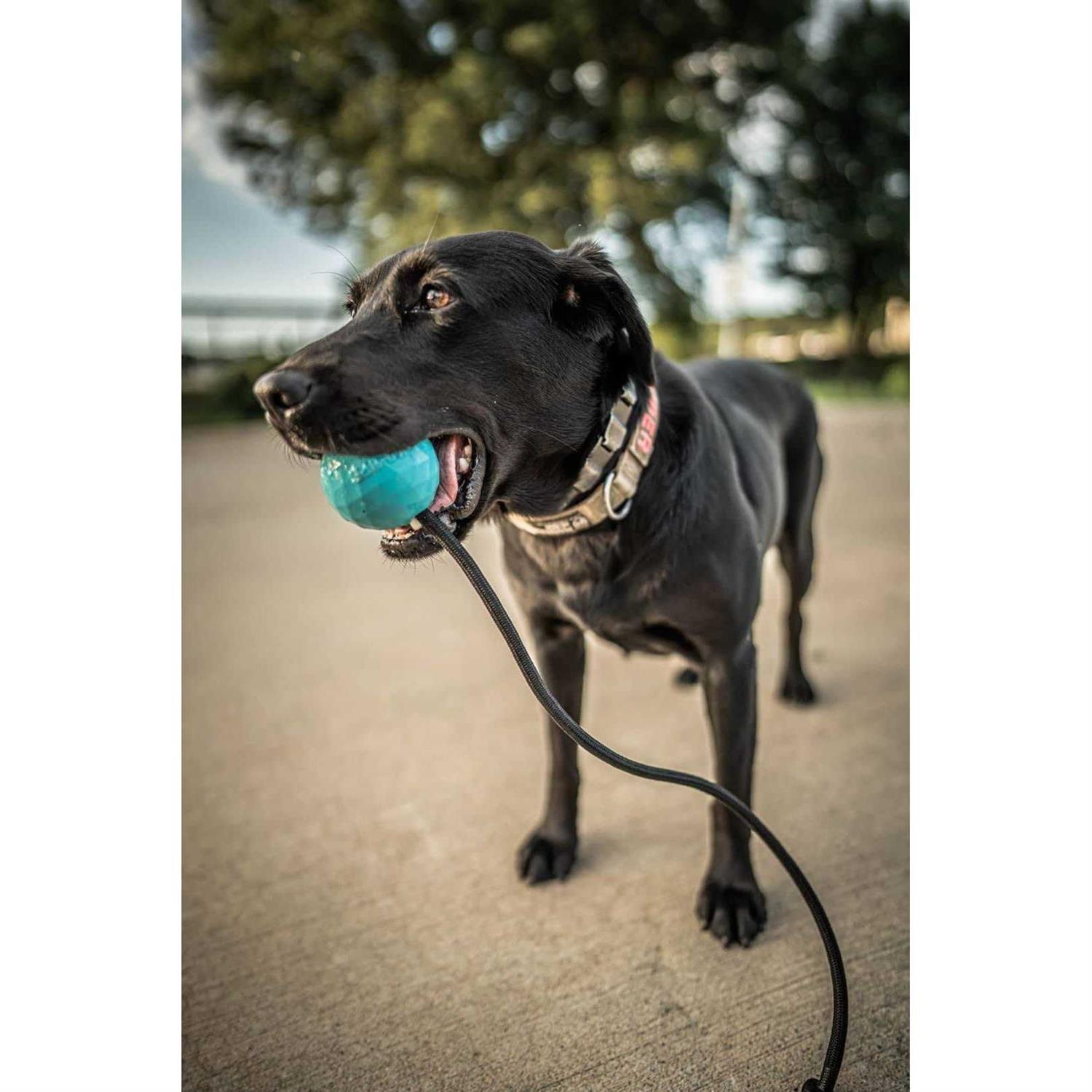 K9 Ops Dog Ball on a Rope moki Tug Toy Solid Rubber Fetch Training Reward - Healthber