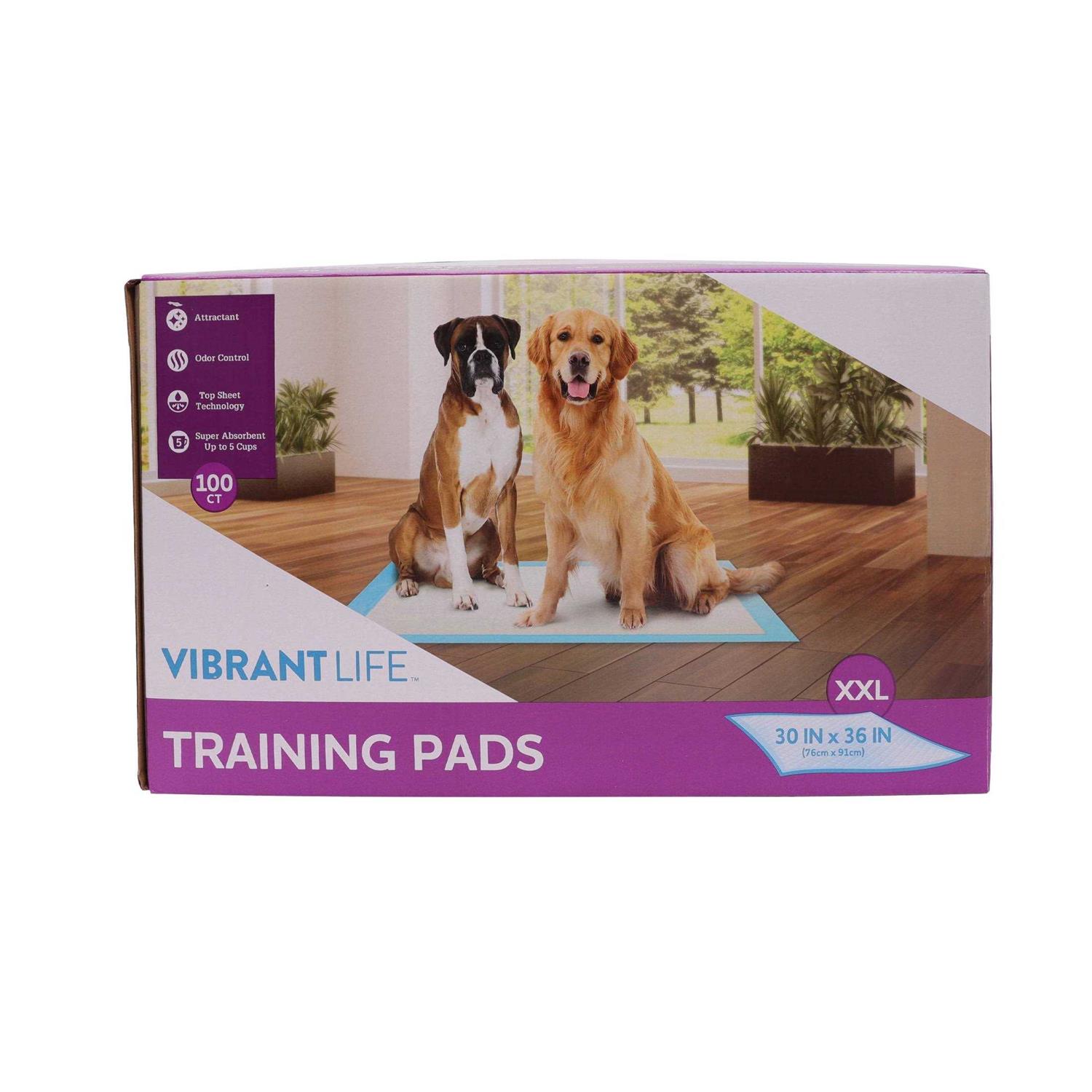 Pet All Star XXL Training Pads - Healthber