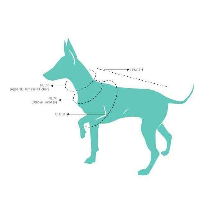 FuzzYard Step Harness - Healthber