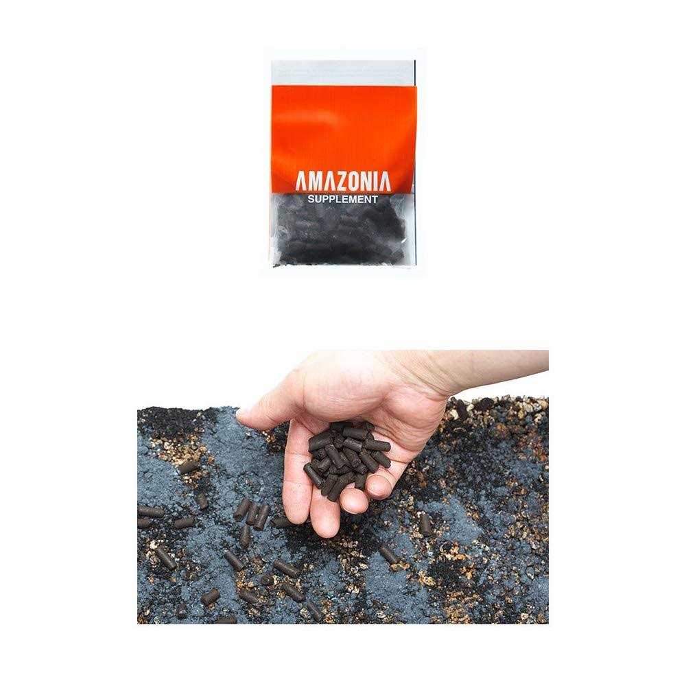 ADA Aqua Soil Amazonia Ver 2 - Healthber
