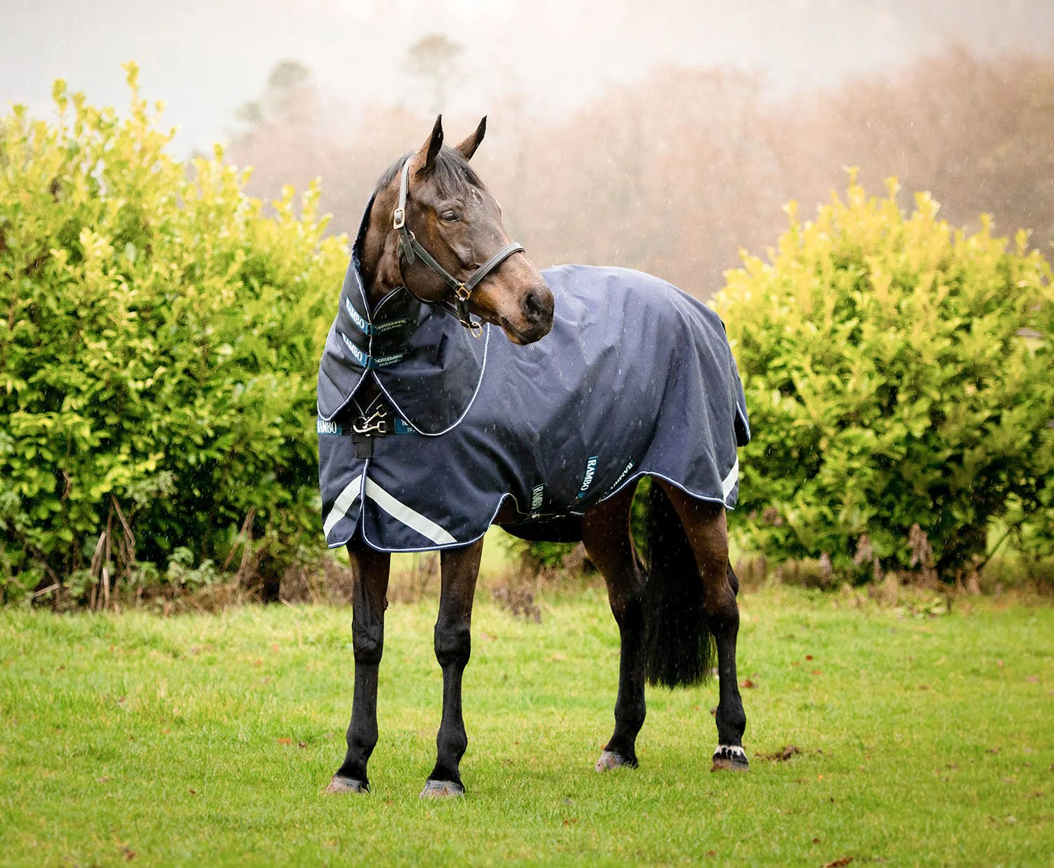 Rambo Duo Force Turnout Blanket, 100 Gram Outer with 100 Gram & 300 Gram Liner, Navy - Healthber