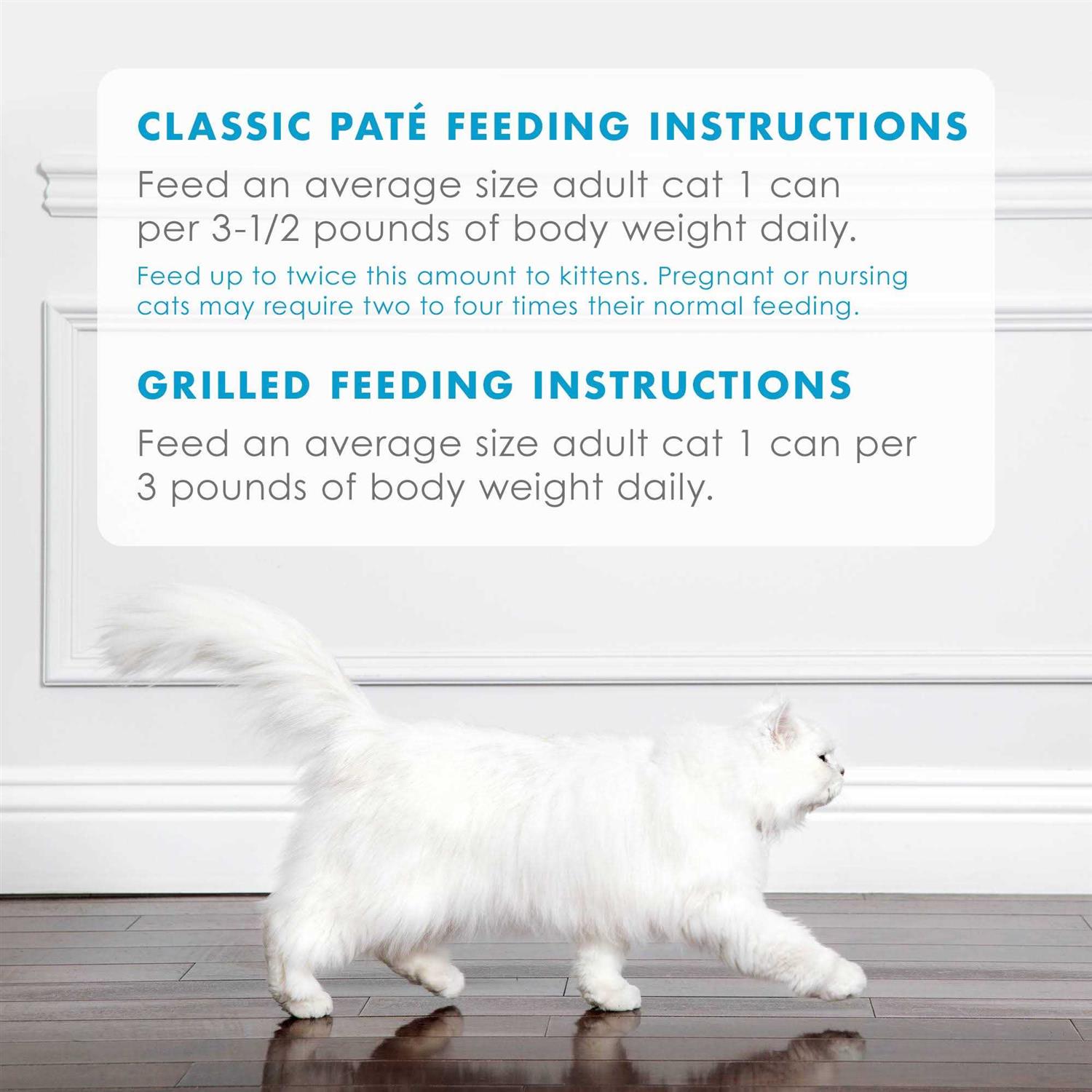 Purina Fancy Feast Wet Cat Food - Healthber