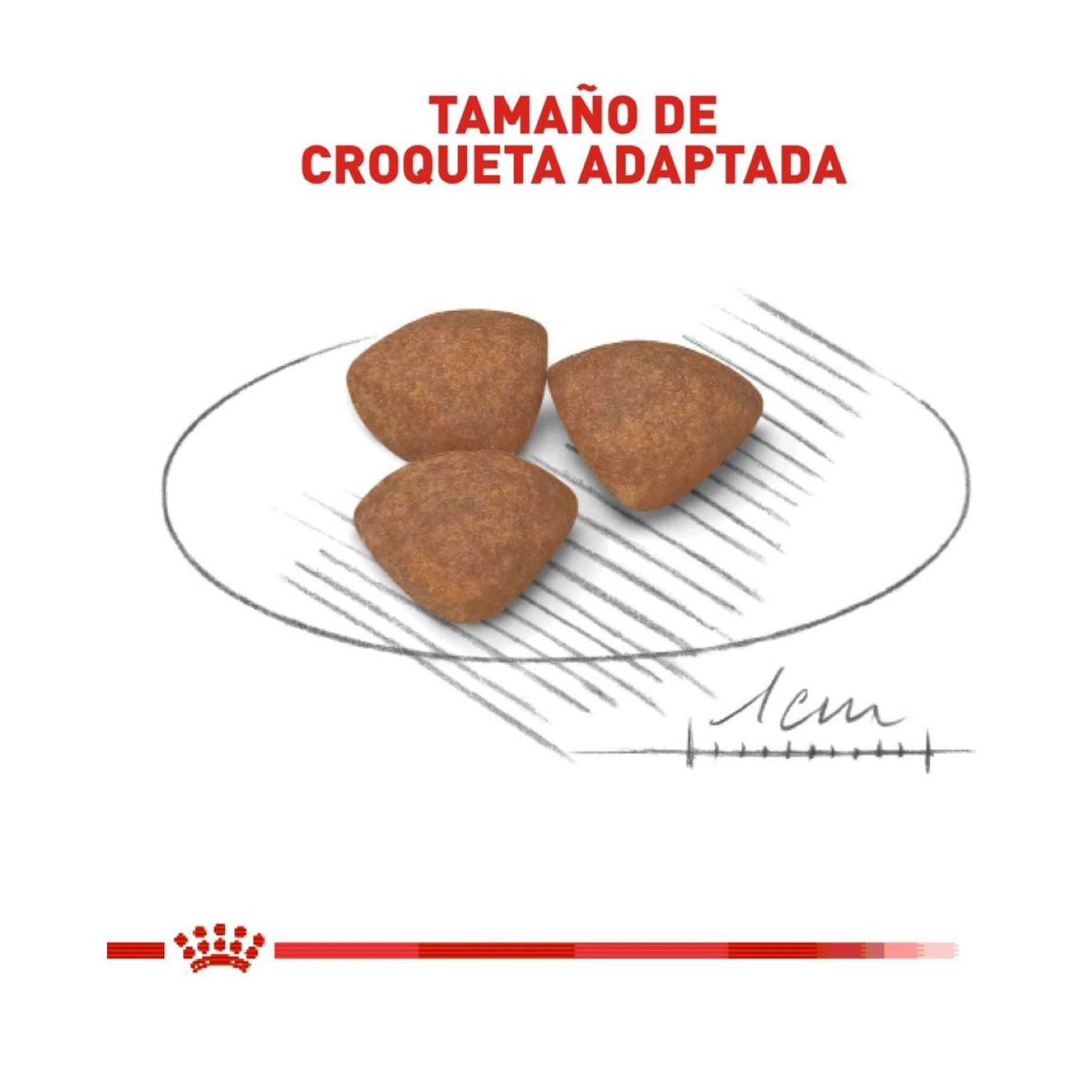 Royal Canin Small Puppy Dry Dog Food - Healthber