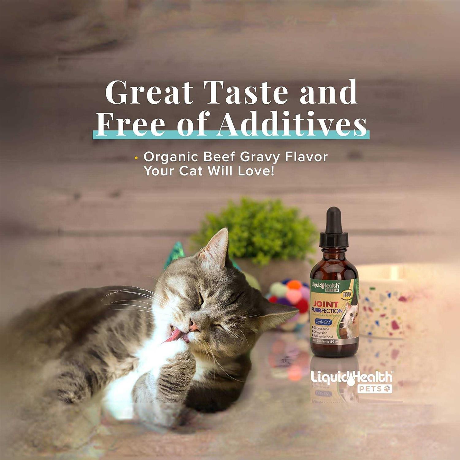 Liquid Health Joint Purr-Fection - Healthber