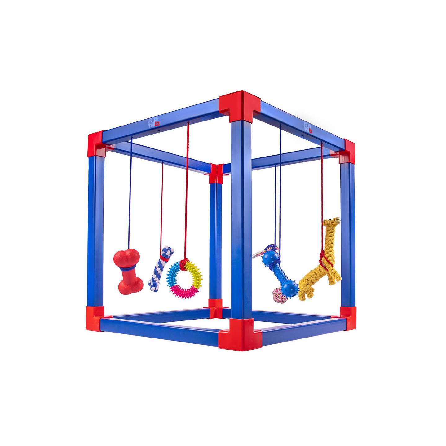 pupez.com Puppy Play Gym - Healthber