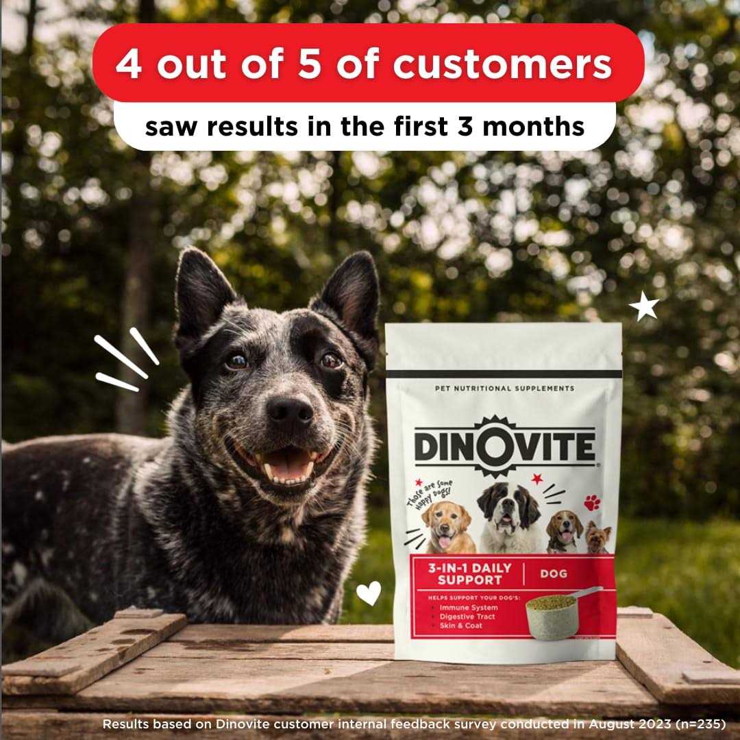 Dinovite Large Dog Supplement - Healthber
