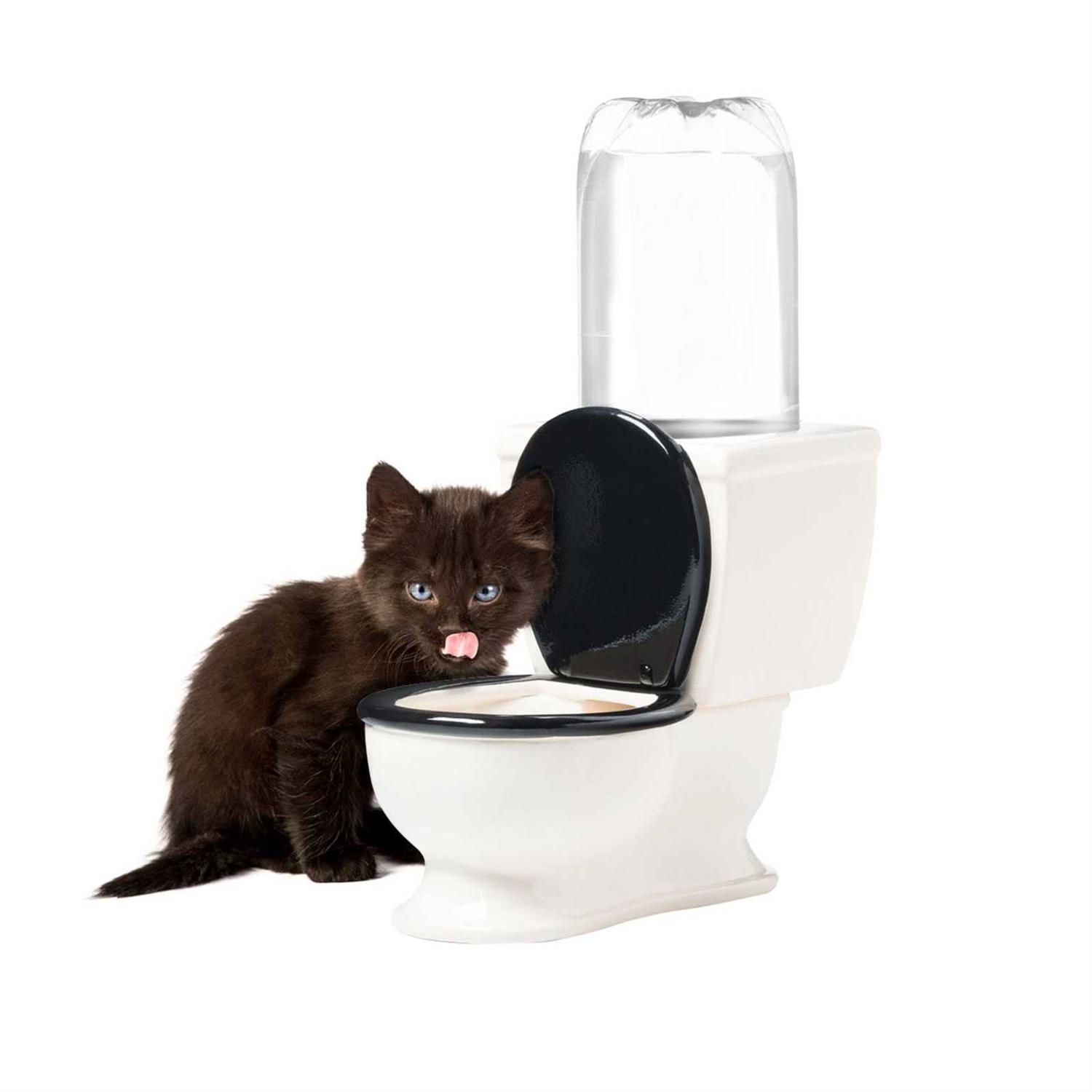 BigMouth Inc. The Toilet Water Dish for Dogs - Healthber