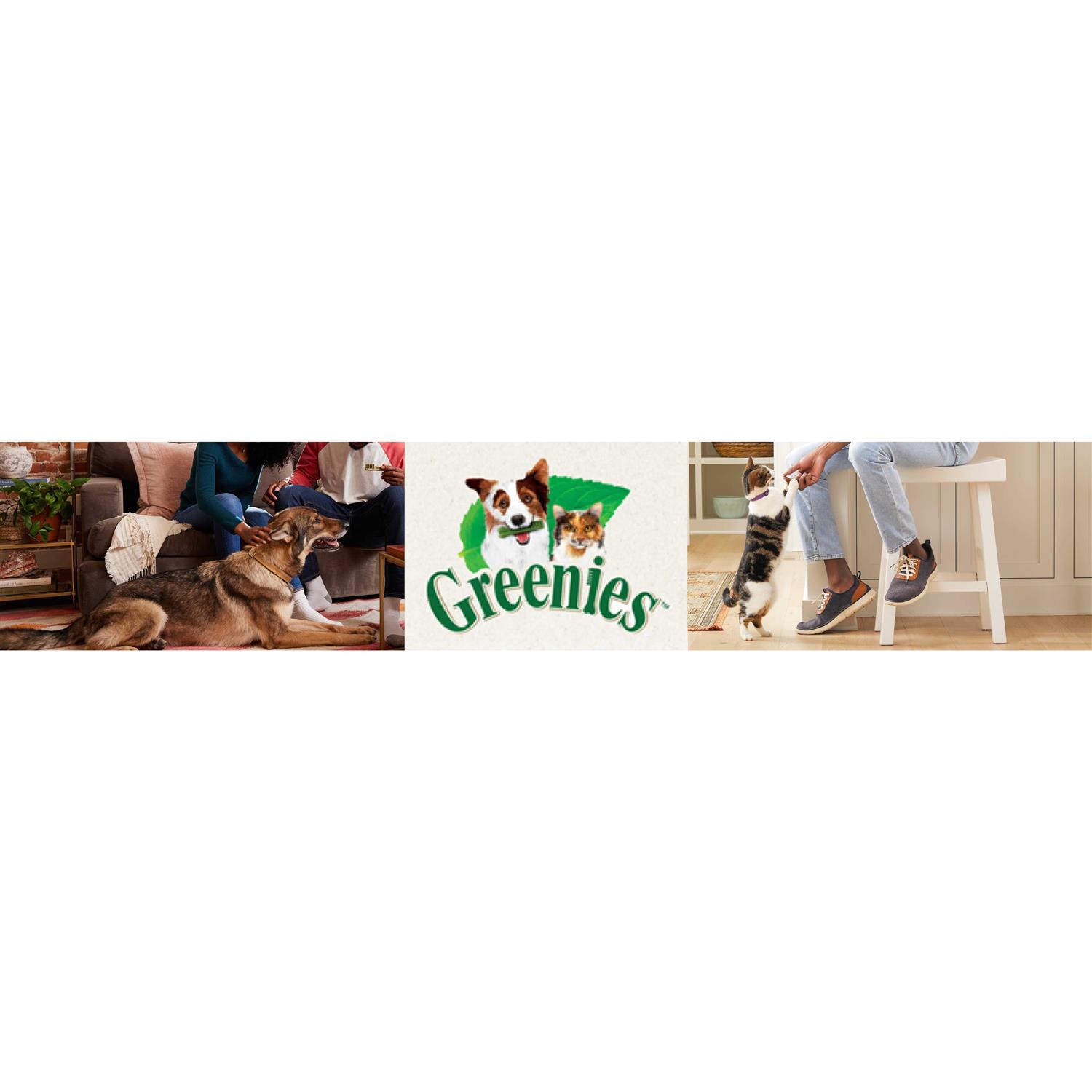 Greenies Puppy Dental Dog Treats - Healthber