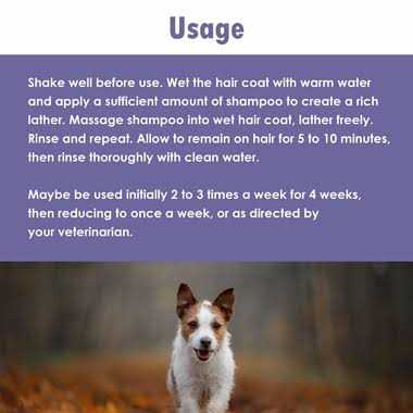ChloraSeb Antiseptic Dog Shampoo - Healthber