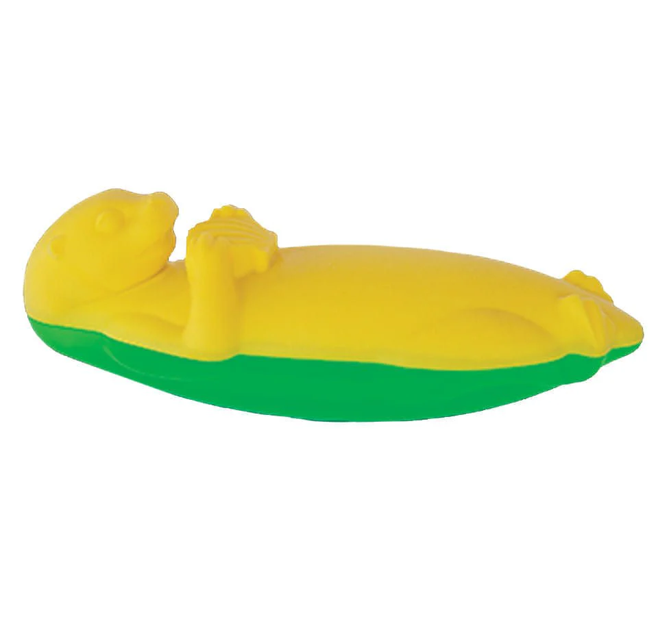 AquaFOAM Floating Dog Toys - Healthber