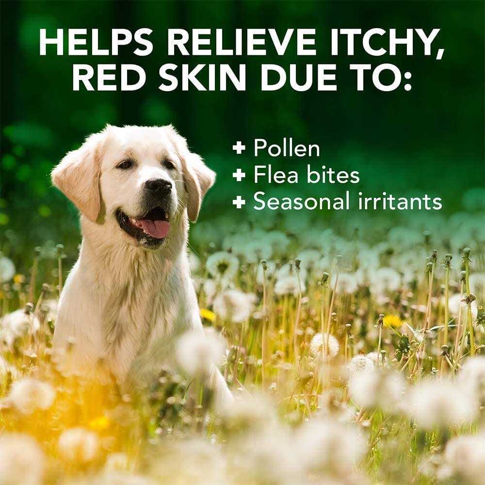 Vet’s Best Allergy Itch Relief Shampoo - Healthber