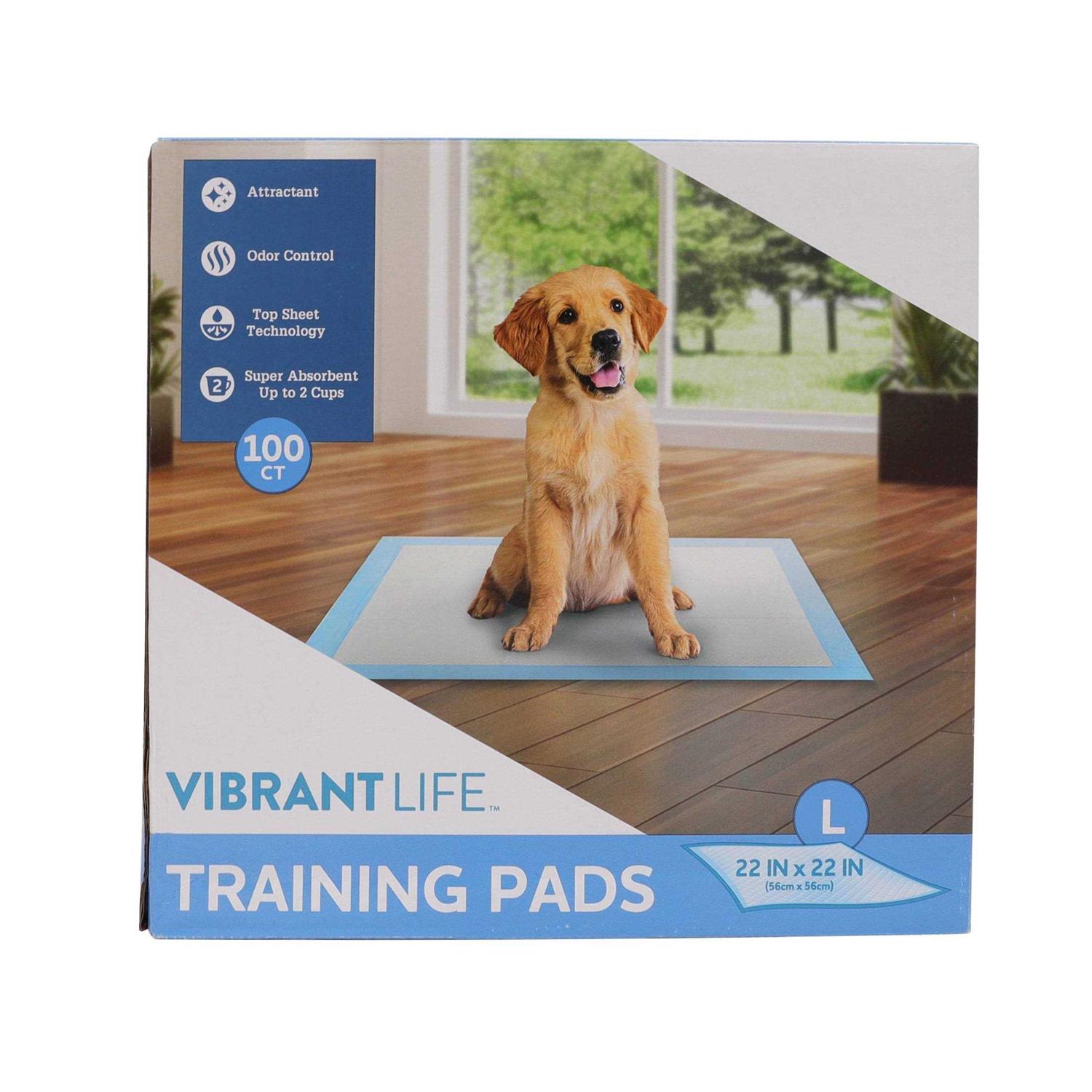 Pet All Star Training Pads 100 Count - Healthber