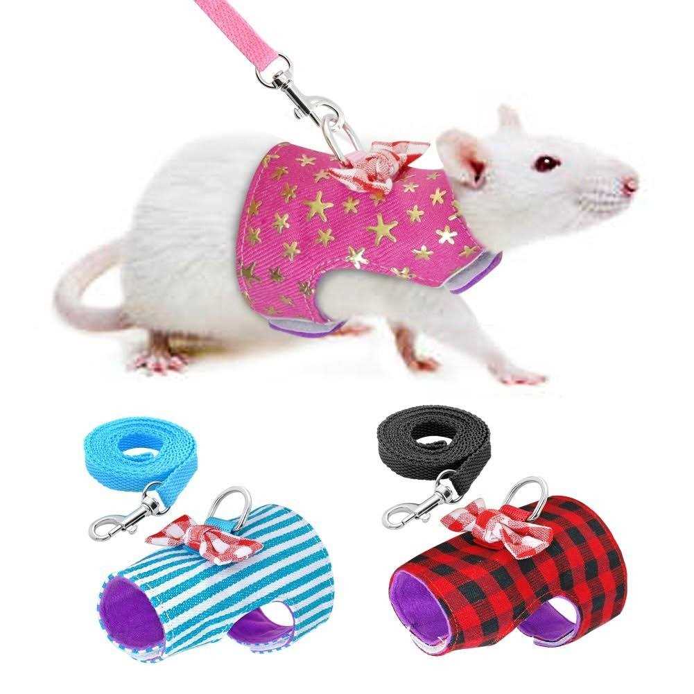 Stock Show Small Pet Outdoor Walking Harness Vest and Leash Set with Cute Bowknot Decor Chest Strap Harness for Rat Ferret Hamster Squirrel Clothes - Healthber