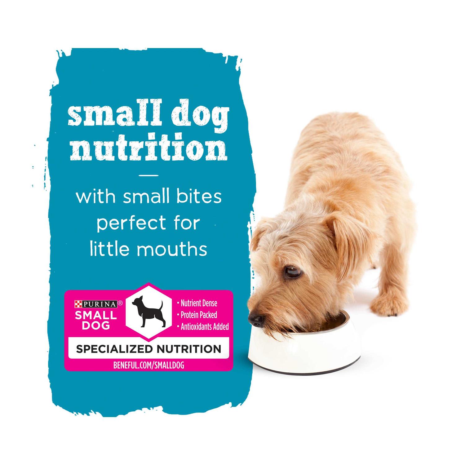 Purina Beneful IncrediBites Real Chicken Small Breed Wet Dog Food - Healthber