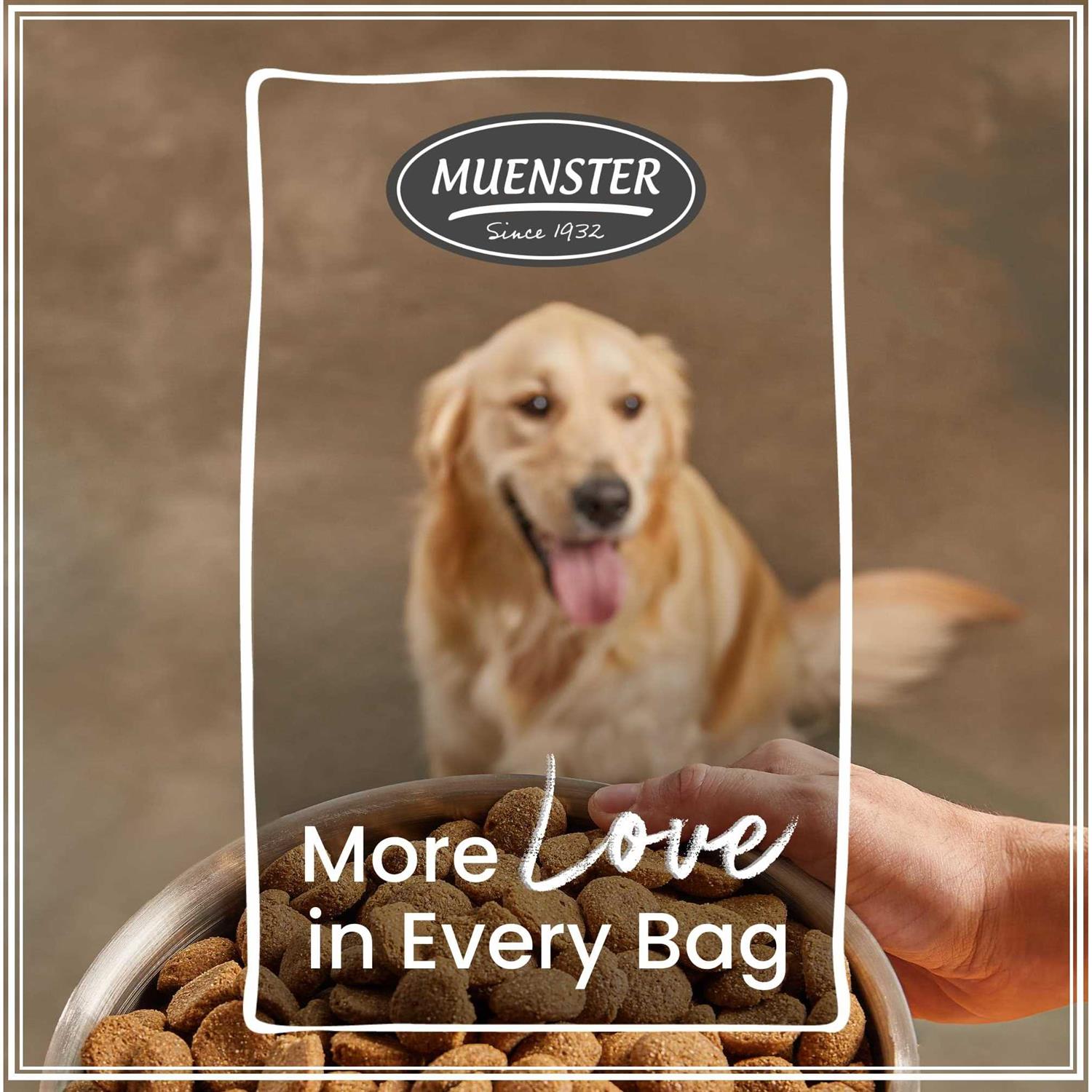 Muenster Ancient Grains with Chicken Dog Food - Healthber