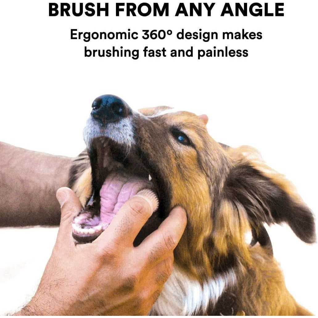 Jasper 360 Finger Dog Toothbrush - Healthber