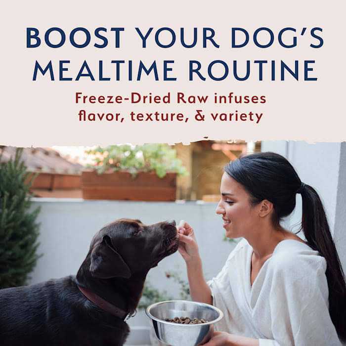 Natural Balance Limited Ingredient Beef & Brown Rice Freeze-Dried Dog Food - Healthber