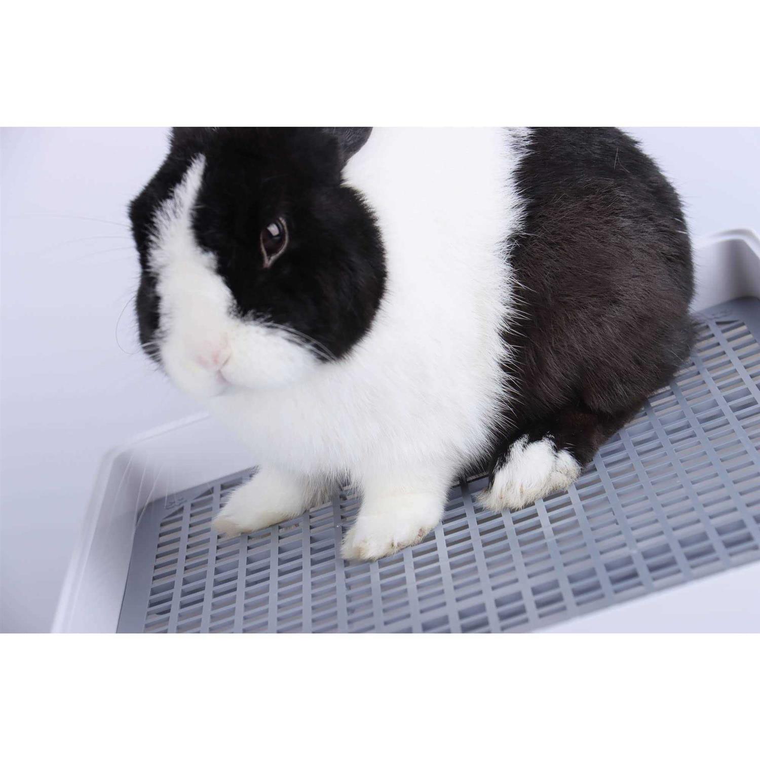 RUBYHOME Super Large Rabbit Litter Box with Grate Rabbit Potty Box Litter Pan for Cage - Healthber