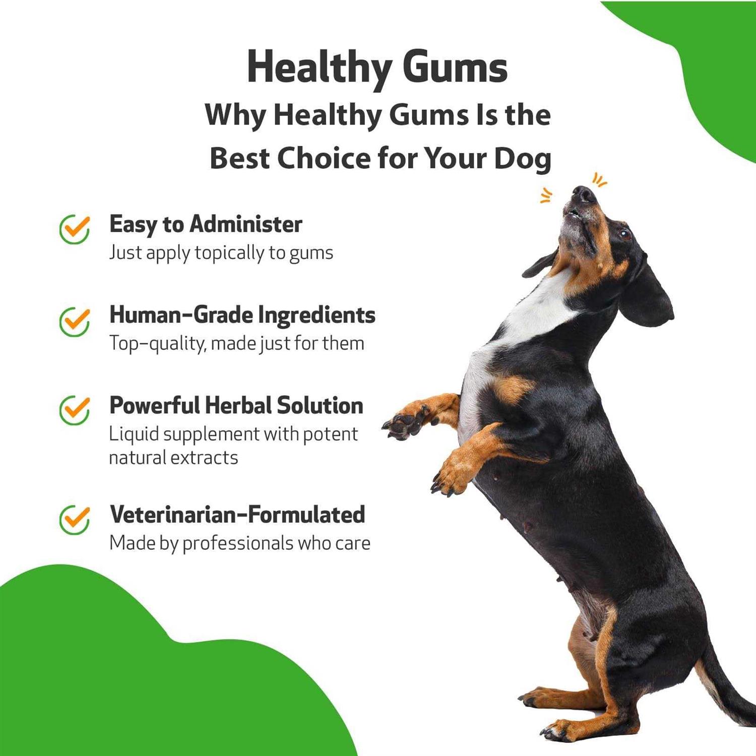 Pet Wellbeing Healthy Gums for Feline Periodontal Health - Healthber