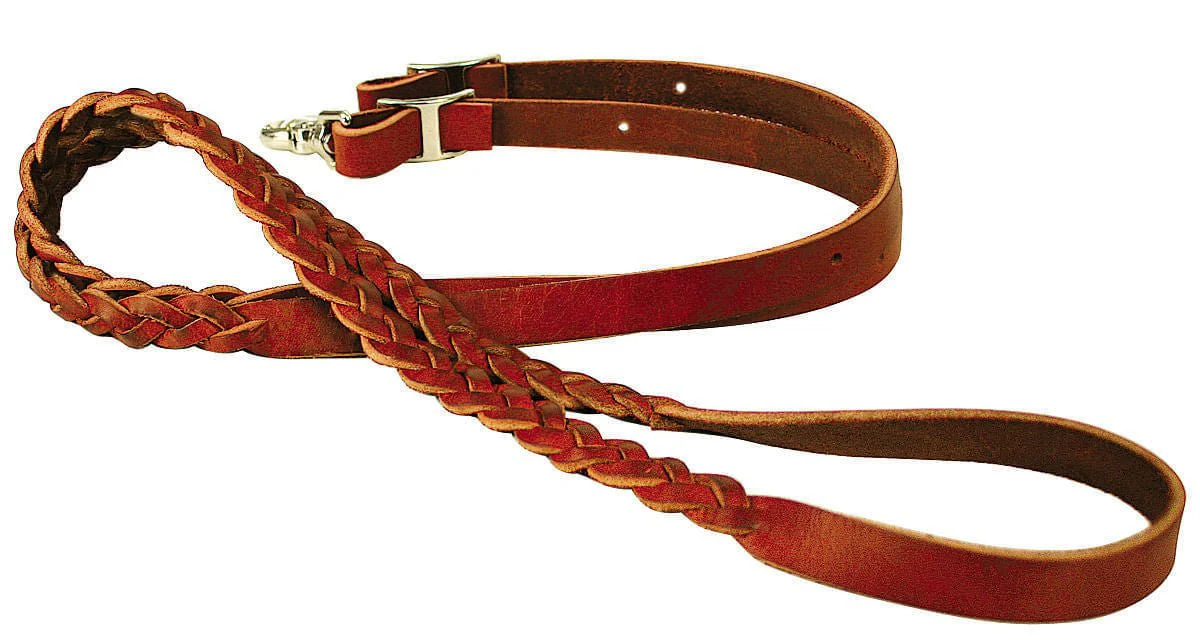Reinsman Sharon Camarillo Plaited Competition Rein - Healthber