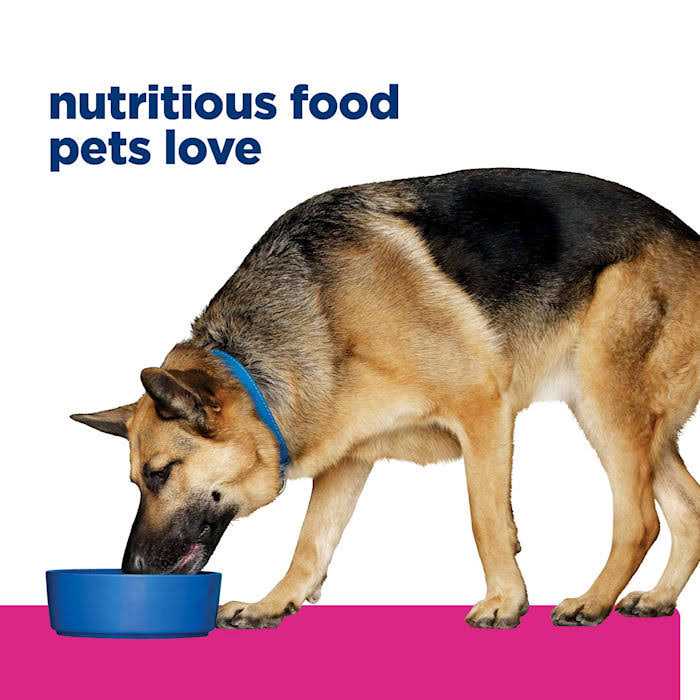 Hill’s Prescription Diet Gastrointestinal Biome Digestive/Fiber Care Chicken & Vegetable Stew Wet Dog Food - Healthber