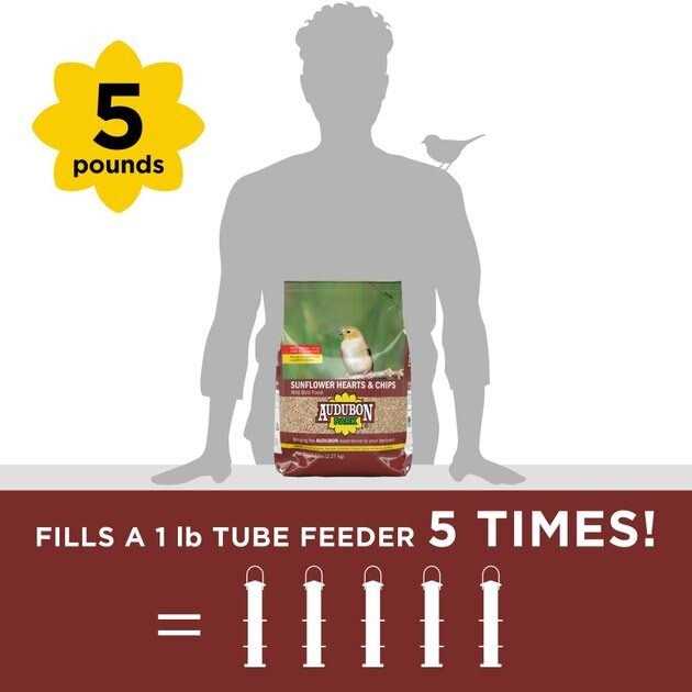 Audubon Park Sunflower Hearts & Chips Wild Bird Food - Healthber