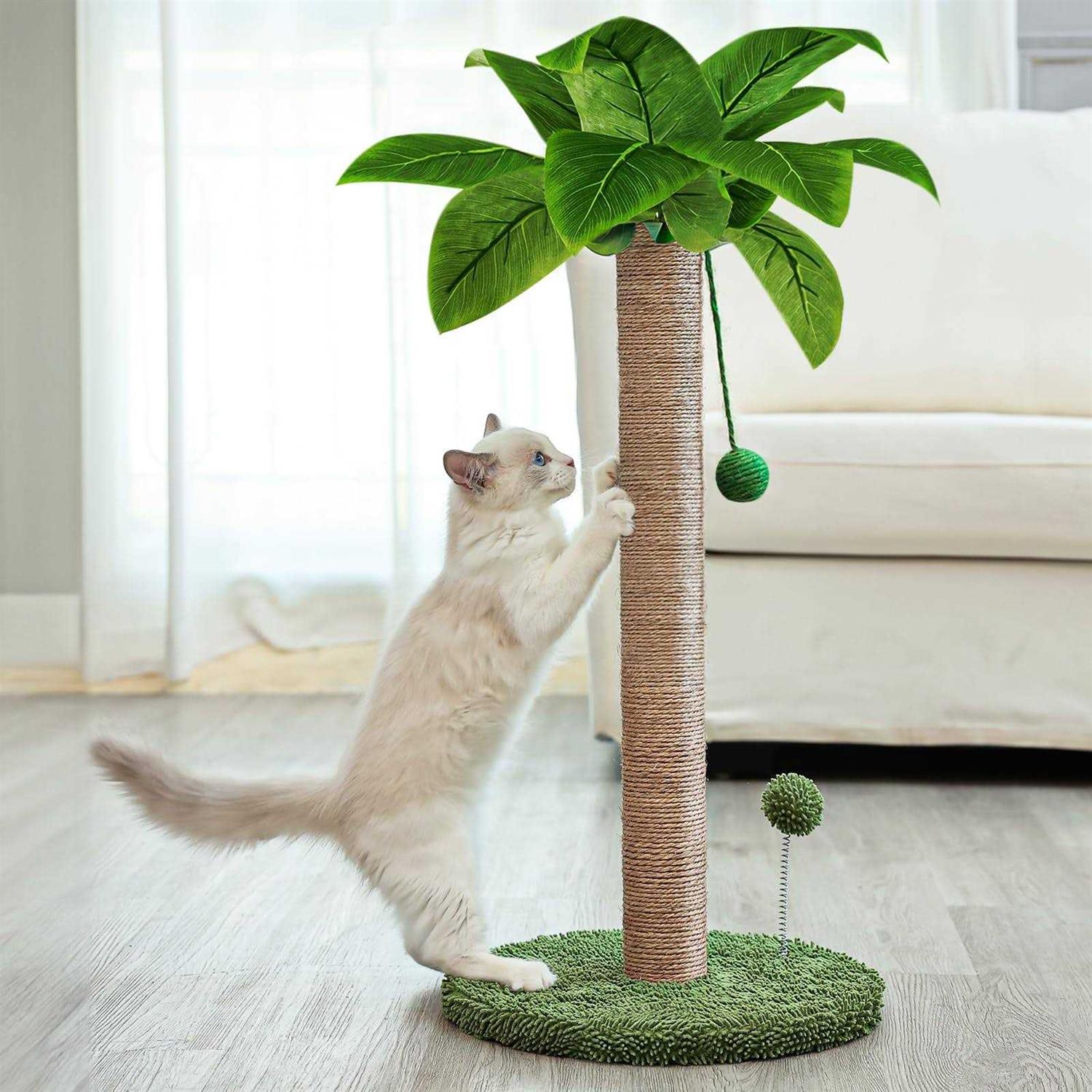 Dohump Cat Scratching Post, 26 Kitten Scratching Post with Premium Sisal Rope, Cute Cat Tree with Dangling and Spring Ball Toys for Indoor Small - Healthber