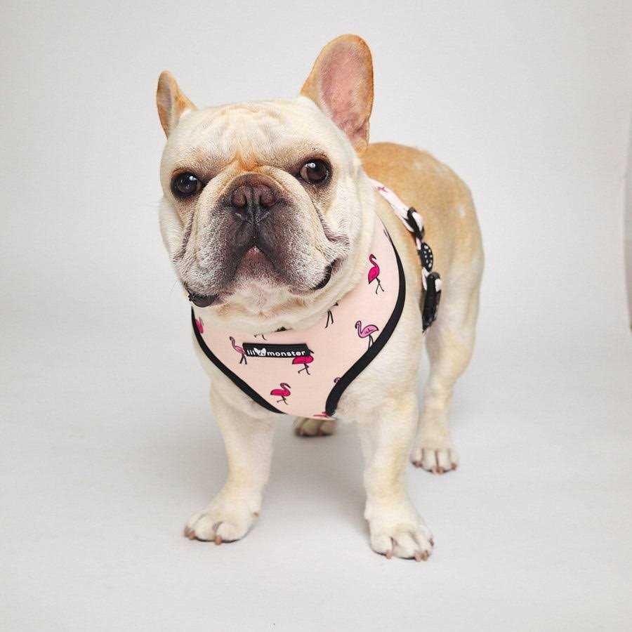 Lil Monster Pets Neoprene Reversible Dog Harness - Healthber