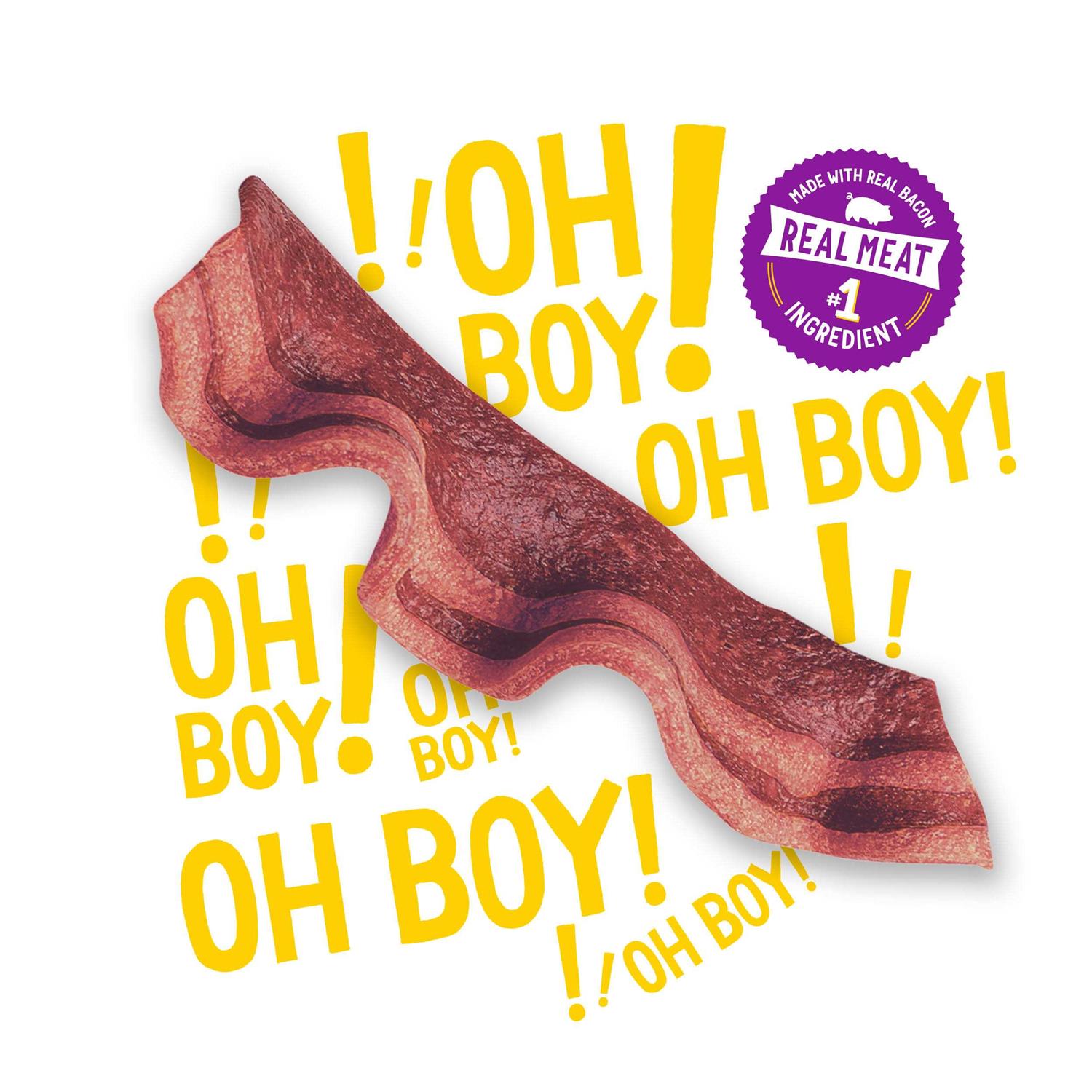 Purina Beggin Strips Bacon & Beef Dog Treats - Healthber