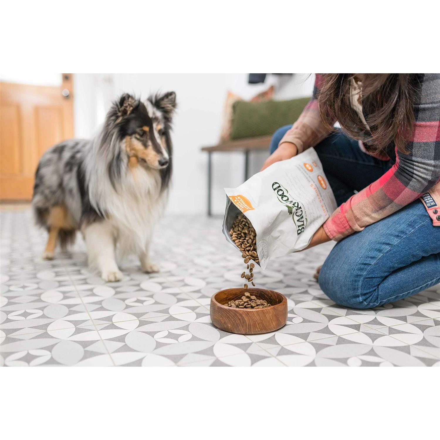 Blackwood Pet Food All Life Stages Special Diet - Healthber