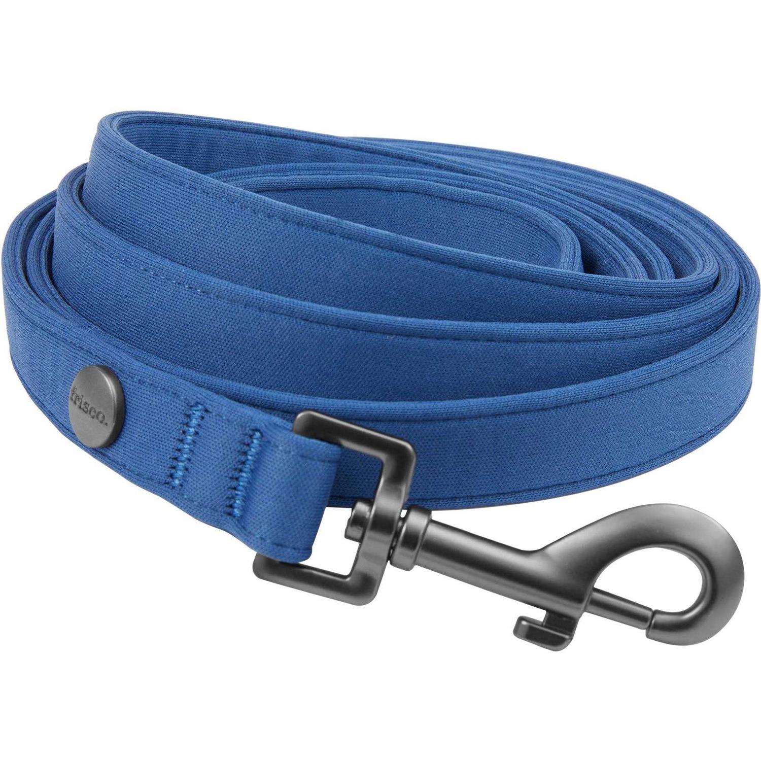 Frisco Comfort Padded Dog Leash - Healthber