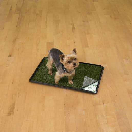 PoochPad Indoor Turf Dog Potty Pro - Healthber