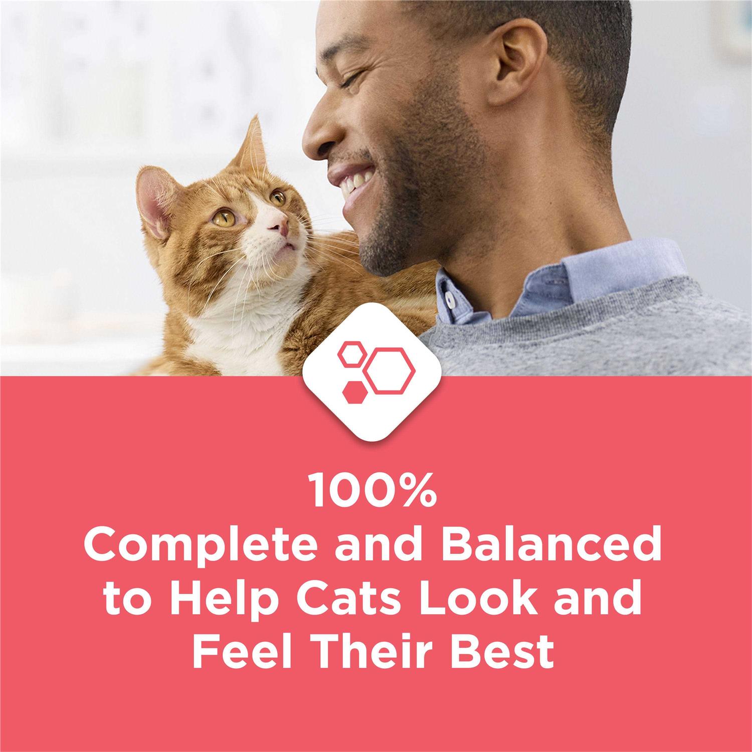 Purina Cat Chow Complete with Salmon High Protein Dry Cat Food - Healthber
