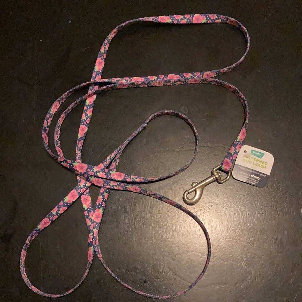 Frisco Dog Dog Leash - Healthber