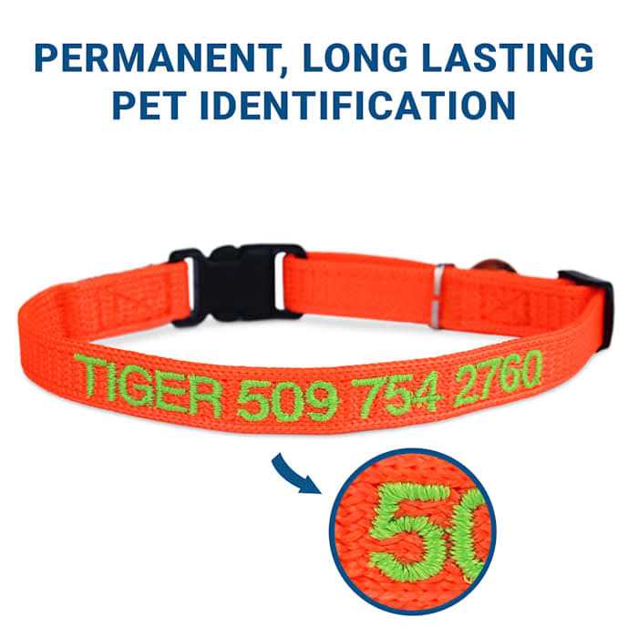 GoTags Nylon Personalized Breakaway Cat Collar with Bell - Healthber