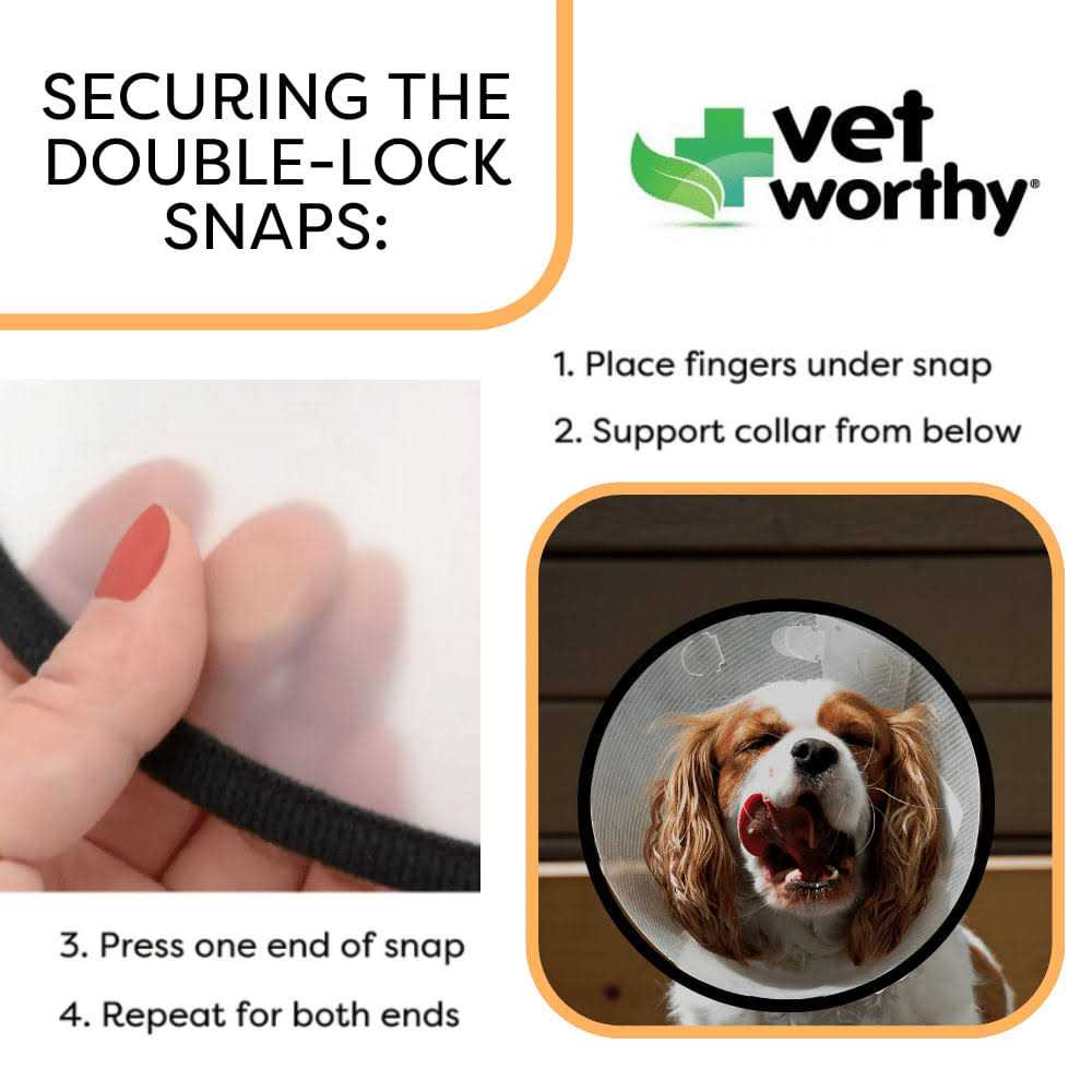 Vet Worthy Protective Cone Collar - Healthber