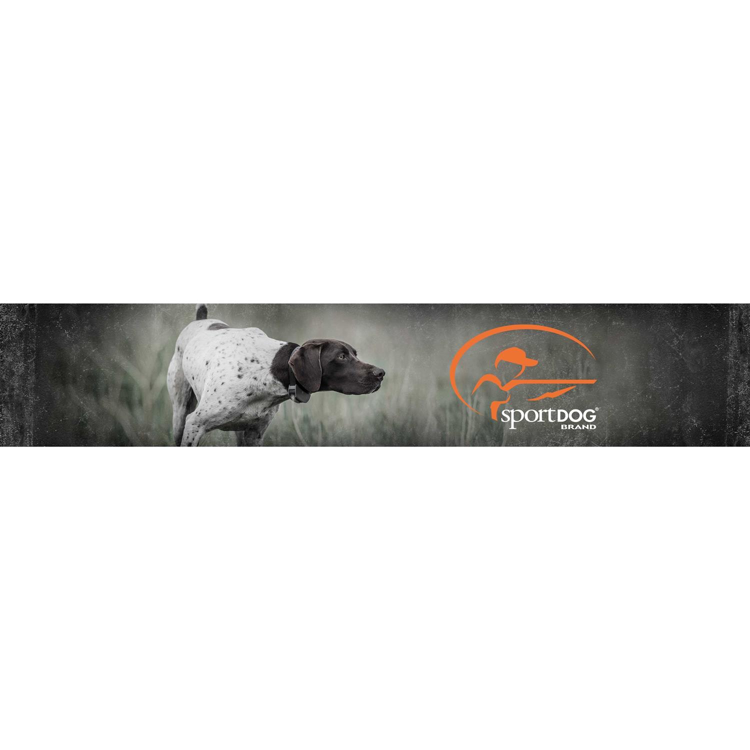 SportDOG Collar Strap - Healthber