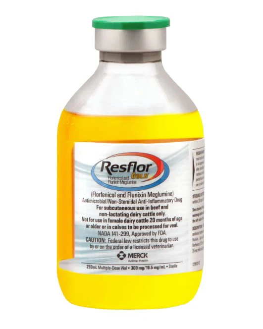 Rx Resflor Gold (florfenicol & flunixin meglumine) for Cattle - Healthber