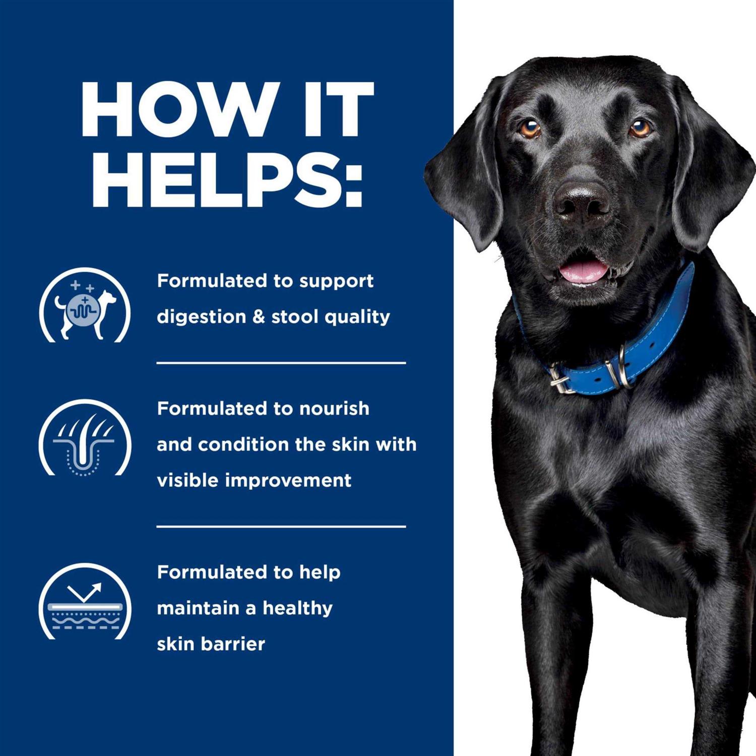 Hill’s Prescription Diet d/d Skin/Food Sensitivities Potato & Salmon Recipe Dry Dog Food - Healthber