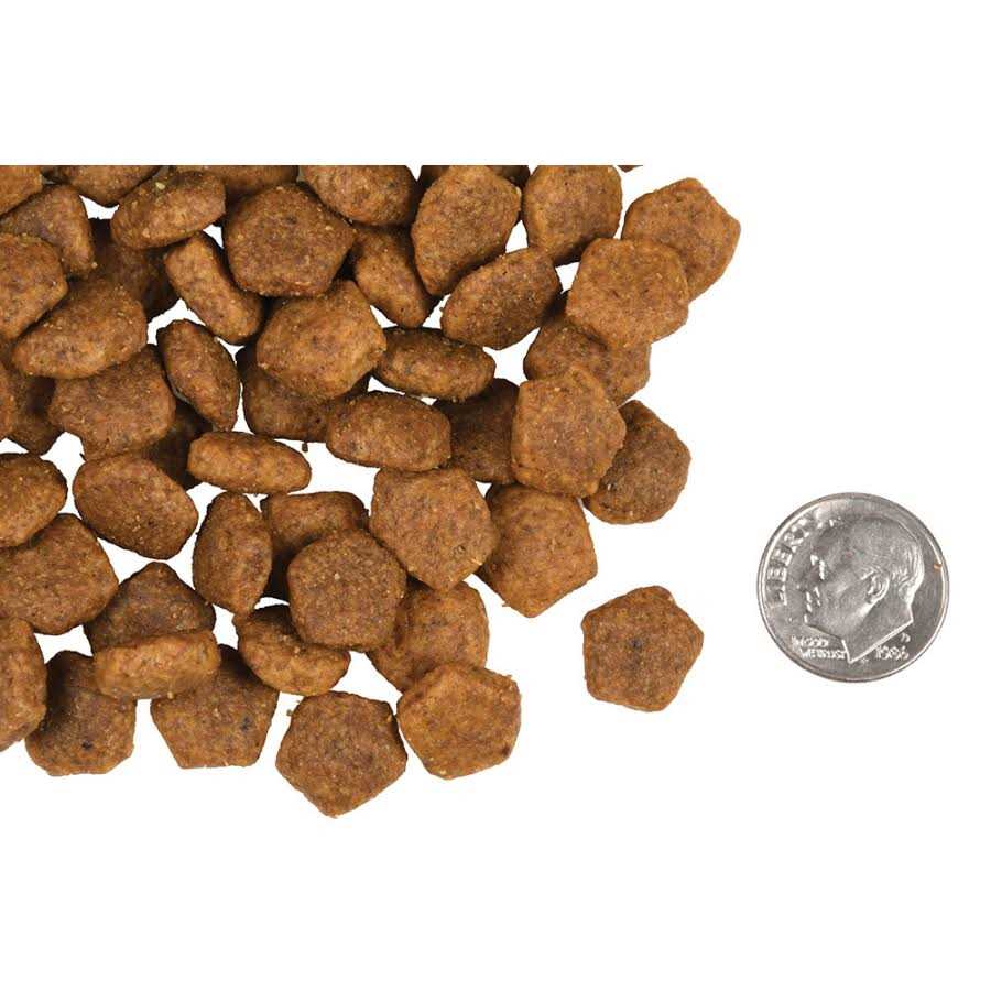 Fromm Heartland Gold Adult Dog Food - Healthber