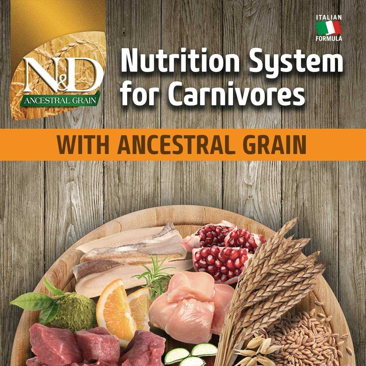 Farmina N&D Ancestral Grain Chicken & Pomegranate Dry Dog Food - Healthber