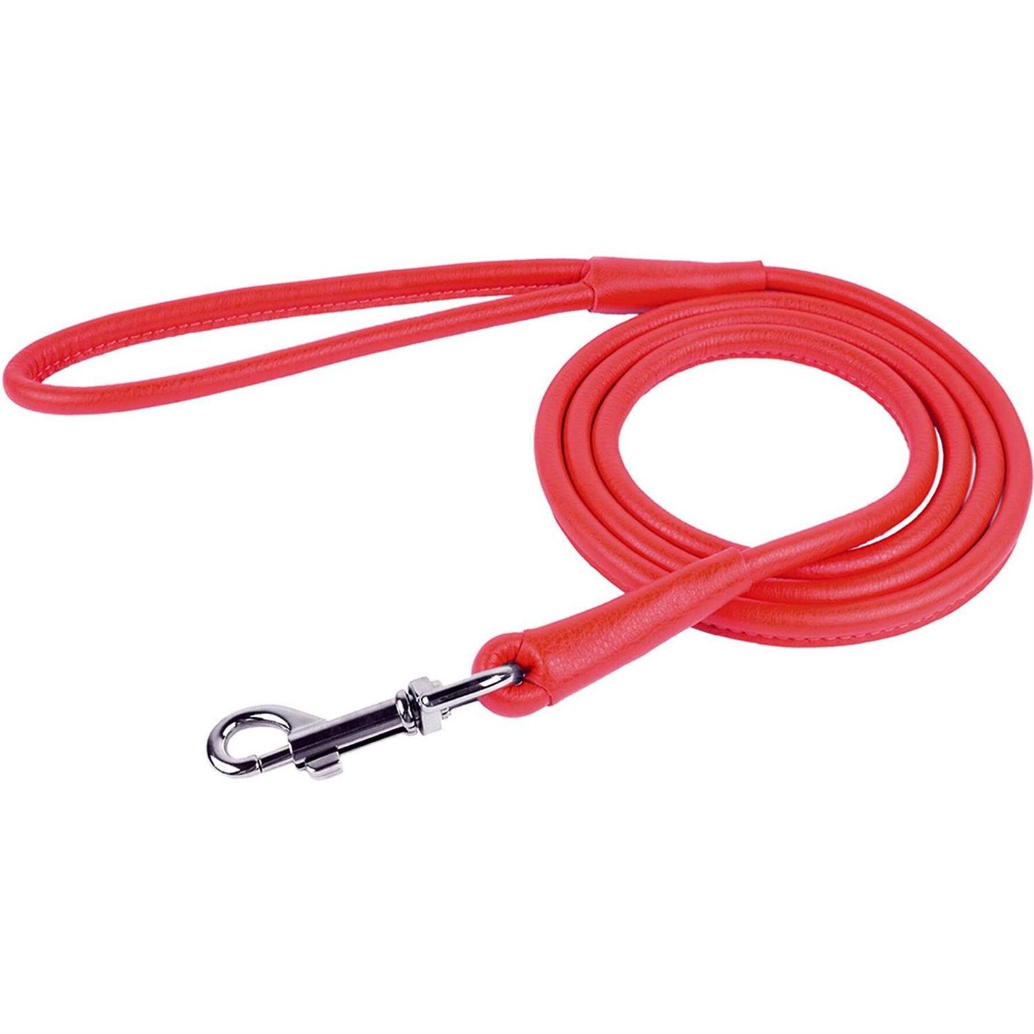 CollarDirect Rolled Leather Dog Leash 4ft Soft Padded Training Leather Dog Lead 6ft - Healthber