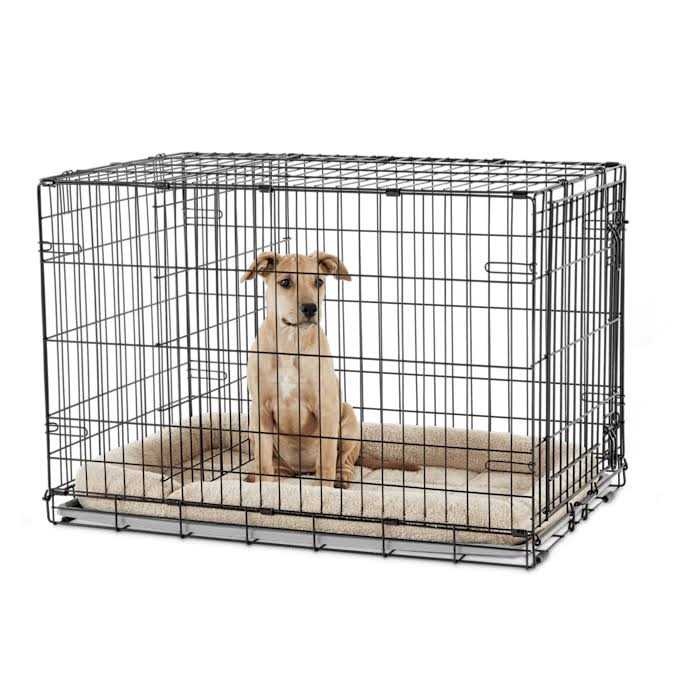 EveryYay Dog Crate - Healthber