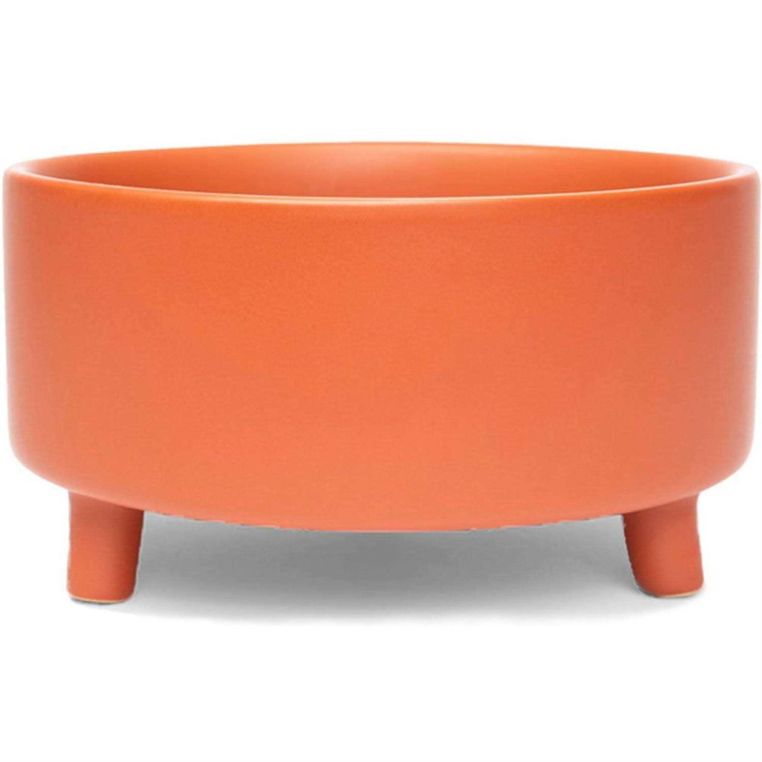 Waggo Uplift Ceramic Dog Bowl - Healthber