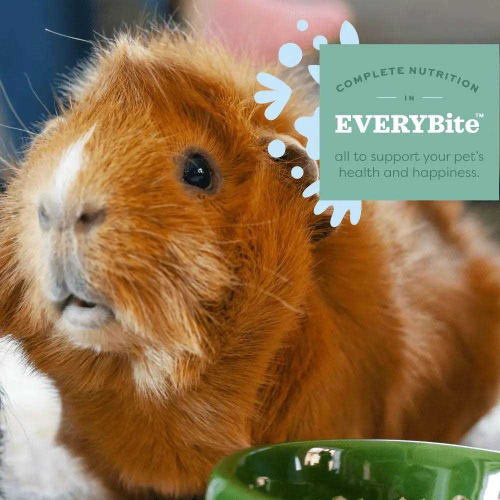 Oxbow Essentials Adult Guinea Pig Food - Healthber
