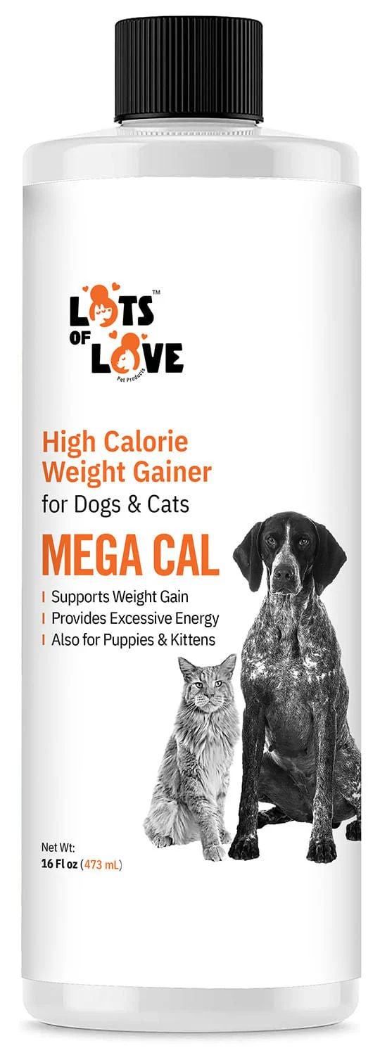 Lots of Love Mega Cal, 16 oz - Healthber