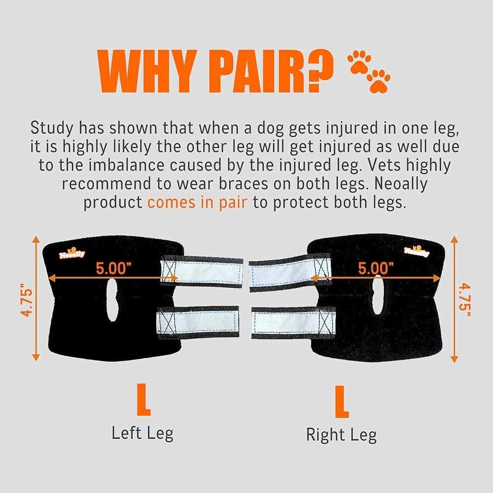 NeoAlly Dog Rear Leg Brace Canine Hock Ankle Support with Safety Reflective Straps for Hind Leg Wounds Heal and and - Healthber