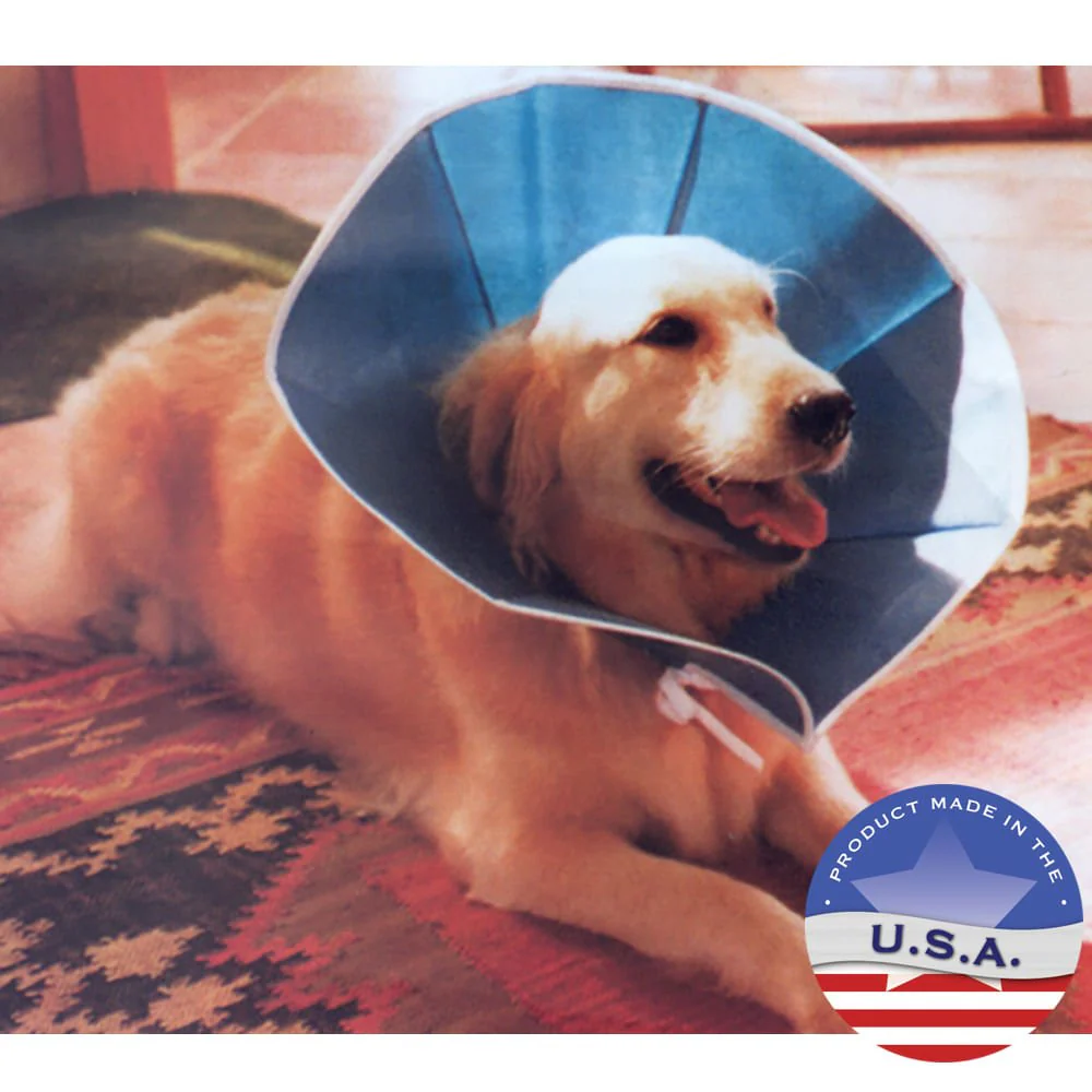 Vet Recovery Collar - Healthber