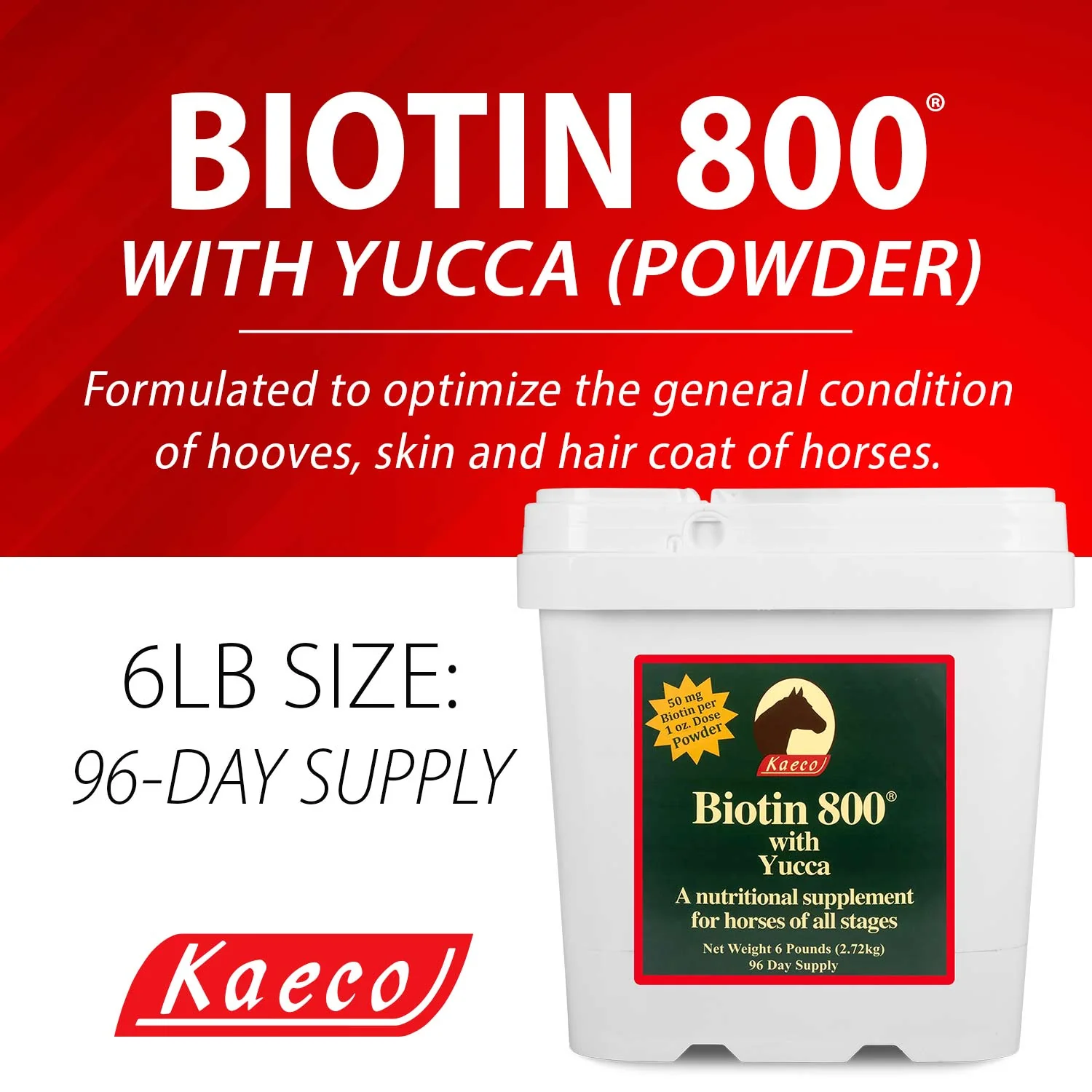 Biotin 800 Powder with Yucca - Healthber