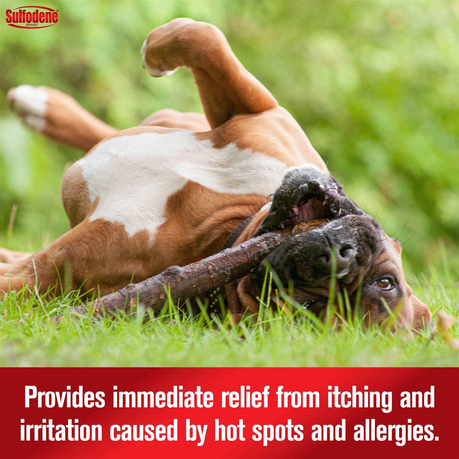 Sulfodene Hot Spot & Itch Relief Medicated Spray - Healthber